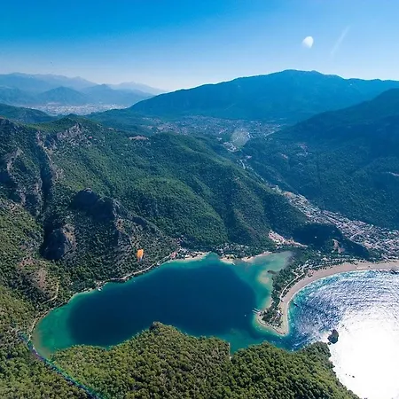 Moonstar Ayyildiz *