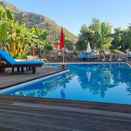 Moonstar Ayyıldız *