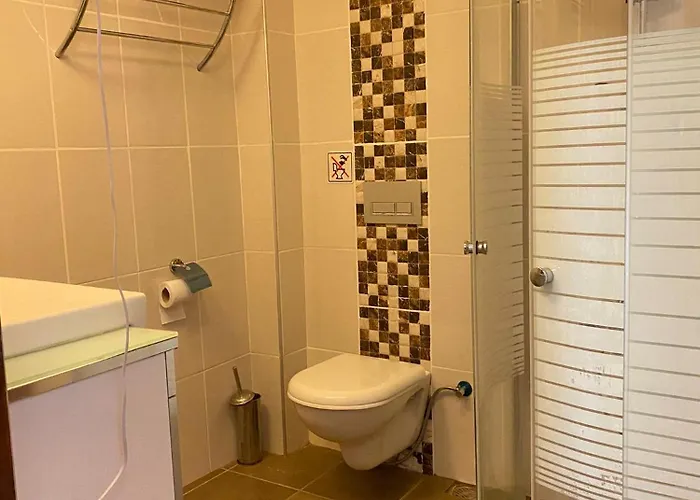 홈스테이 Moonstar Ayyildiz *