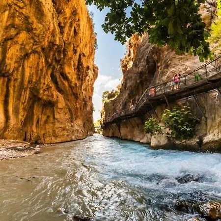 Moonstar Ayyildiz Alloggio in famiglia *