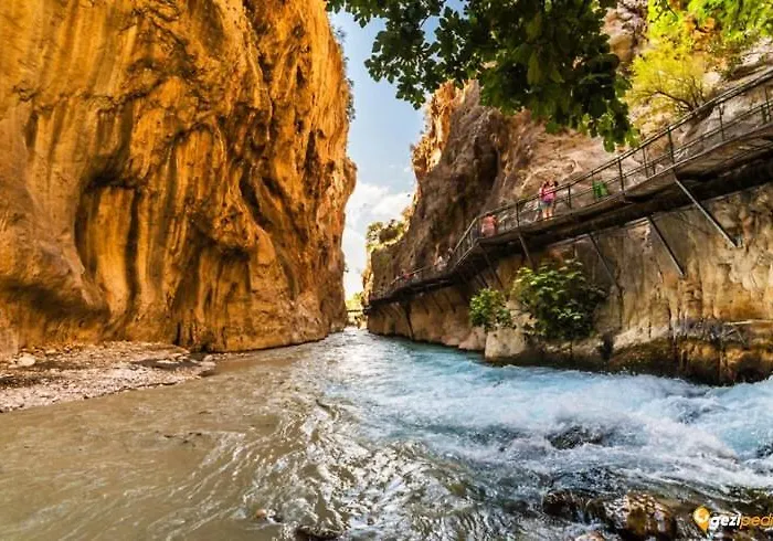 Moonstar Ayyildiz 홈스테이 *