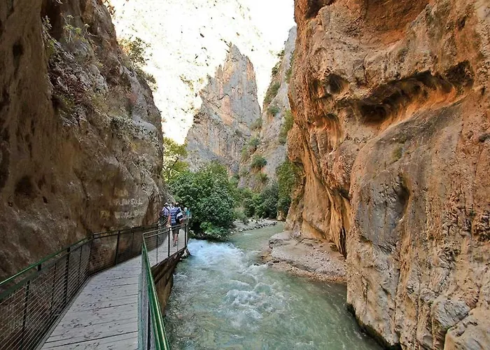 Moonstar Ayyildiz אולודניץ